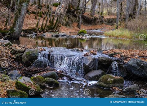 Waterfall Over The Rocks In River Stream In Forest Stock Photo Image
