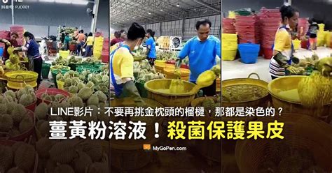 最新消息 焦點新聞 發燒話題 人才招募 徵才資訊 甄選結果 醫師甄補公告 代招分院醫師 人才招募q&a 活動訊息 電子病歷專區 公開資訊專區 組織及聯絡. 【影片】榴槤泡藥水？不要再挑金枕頭榴槤都染色？殺菌薑黃水 | MyGoPen