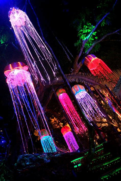 Map data image may be subject to copyright. The Luminous Forest of Tambun's Lost World ⋆ Home is where ...