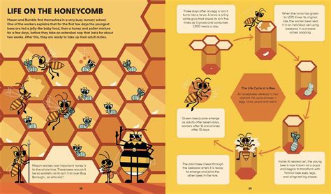 STEMville: The Bee Connection – Flying Eye Books