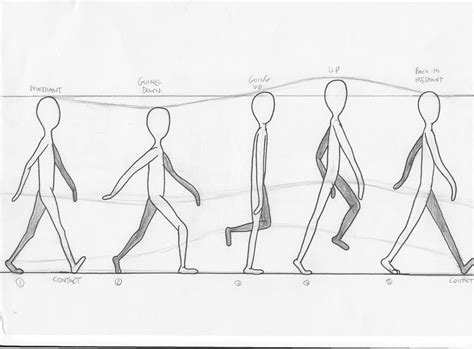 Walk Cycle Animation Reference Get More Anythink S