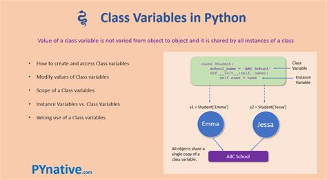 Python Class Variables With Examples Pynative