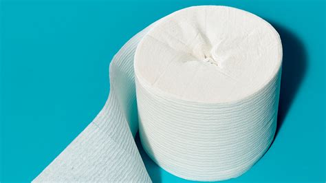 13 Best Tubeless Toilet Paper For 2024 Storables