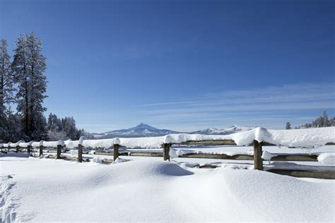 Scenic Winter Scene Free Stock Photo Public Domain Pictures