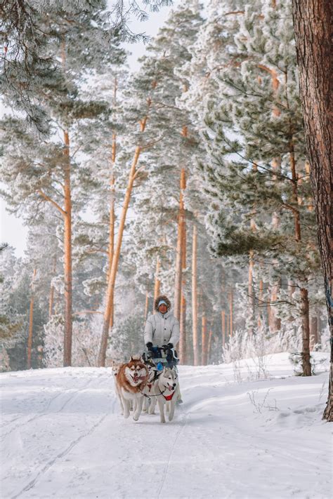 12 Best Things to Do in Lapland, Finland - Hand Luggage Only - Travel ...