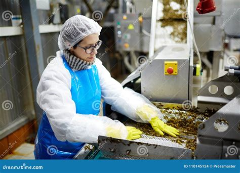 Food Production Factory Staff Stock Photo Image Of Food Profession