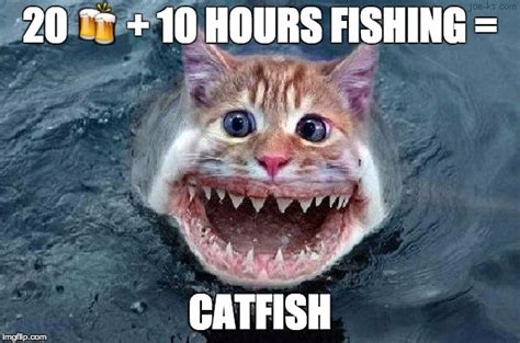 Catfish Imgflip