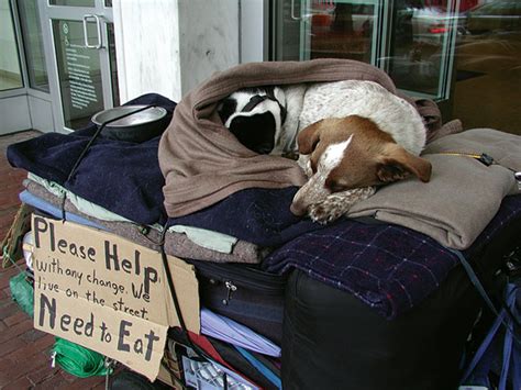 Soup kitchens are a great place to volunteer. Full Tummy Project feeds homeless people's pets | News ...