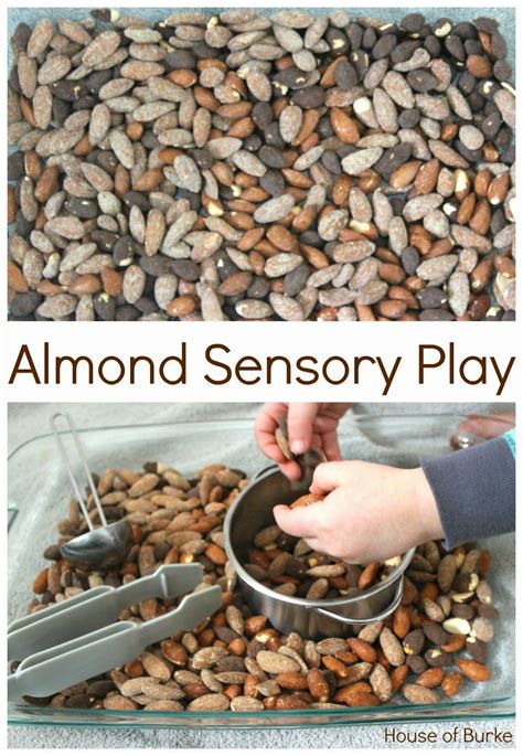 House Of Burke Almond Sensory Play Sensory Play