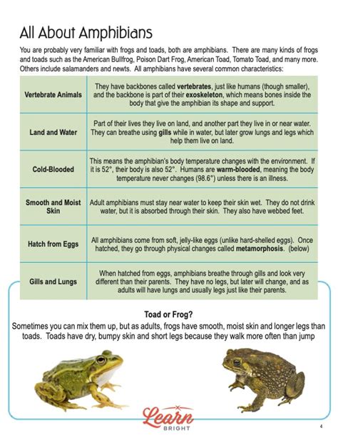 Amphibians List For Kids