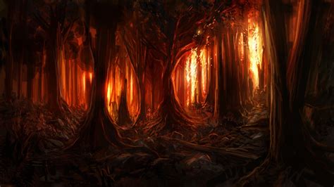Forest Fire 4k Wallpapers Wallpaper Cave