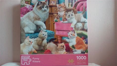 1000 Piece Jigsaw Puzzle Funny Kittens Brand New Boxed Collection