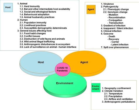 The Role Of Host Agent And Environment Determinants In Covid 19
