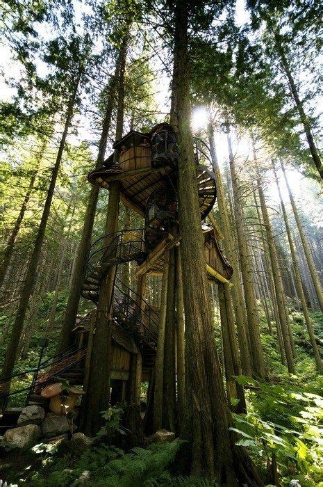 The Treehouse At The Enchanted Forest In Revelstoke Enchanted Forest