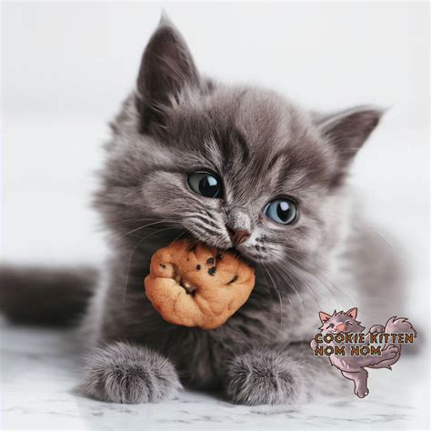 Cookie Kitten Nom Nom Yummy Cookie By Agkeycreations On Deviantart