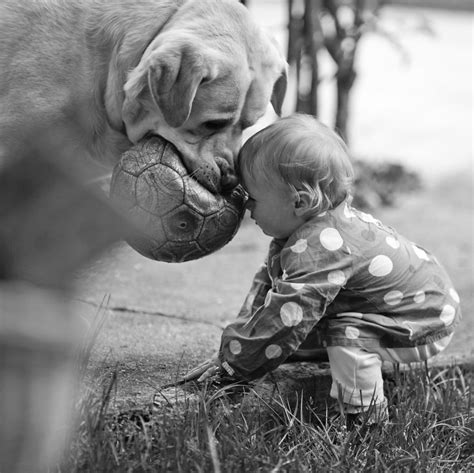 22 Big Dogs Caring For Little Kids Mans Best Friends