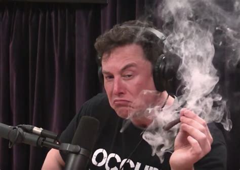 Though it's unclear if musk's tweets in support. Elon Musk just dropped a rap song dedicated to Harambe ...