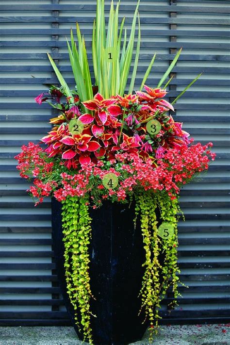 Dwarf varieties tend to bloom earlier in spring, with intermediate sizes blooming later spring, and taller bearded varieties blooming late spring and summer. 12 Gorgeous Flower Pot Ideas For Your Front Porch | The ...