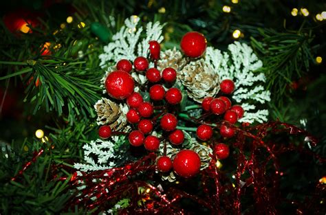 Christmas Free Stock Photo Public Domain Pictures