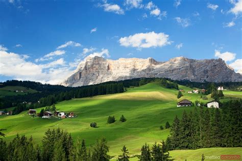 Green Valley In The Italian Alps In Summer Dolomites Italy Royalty Free Image