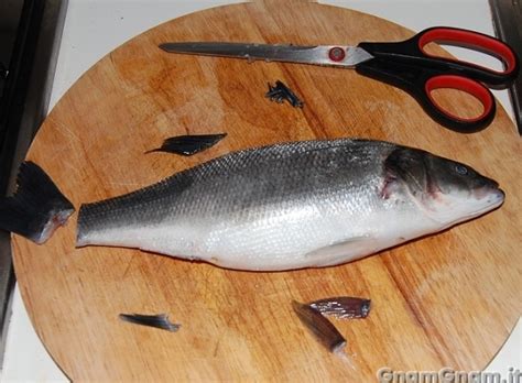 Robusto e facile da usare, questo squamapesce professionale garantisce risultati certi a chi intenda togliere la pelle dei pesci. Come pulire e sfilettare il pesce - La ricetta di Gnam Gnam