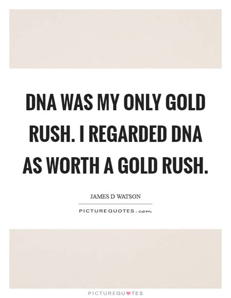 It has gold and silver production, development stage properties, exploration properties, and land positions throughout the americas, including canada, brazil, chile, and argentina producer. Gold Rush Quotes | Gold Rush Sayings | Gold Rush Picture Quotes