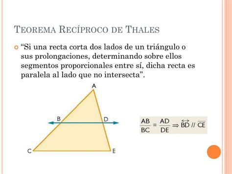 Teorema Lui Thales