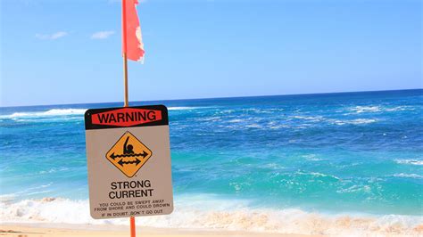 Rip Current Awareness Week — What You Need To Know Foremost Insurance