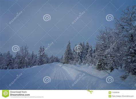 View With Trees Covered With Snow In The Forest At One Side Of The Road