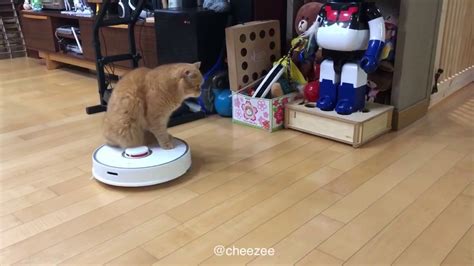 Zeon Cat Riding Robot Vacuum Youtube