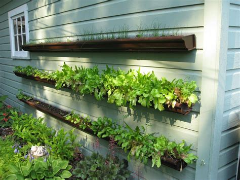 19 Rain Gutter Vertical Garden Ideas To Try This Year Sharonsable