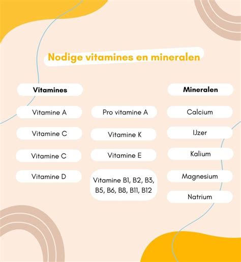 Alle Informatie Over Wat Vitaminen En Mineralen Zijn Nuactief Nl