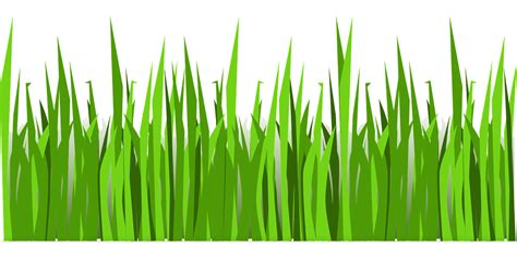 Grass Lawn Nature Free Vector Graphic On Pixabay