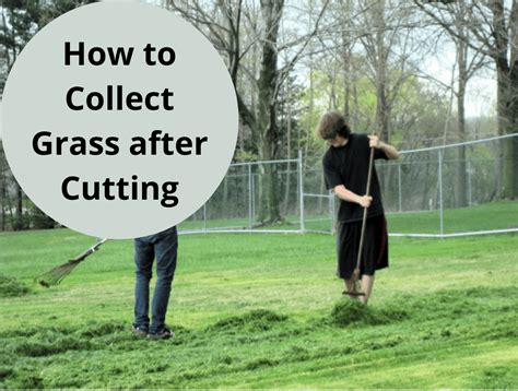 How To Collect Grass After Cutting