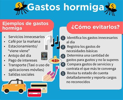 Gastos Hormiga Qu Son Caracter Sticas Ejemplos Y Como Evitarlos Hot