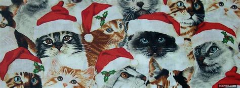 Christmas Cutes Cats Photo Facebook Cover