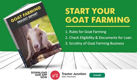 Information about goat in hindi GOAT Full Form Greatest Of All Time G O A T क मतलब कय ह