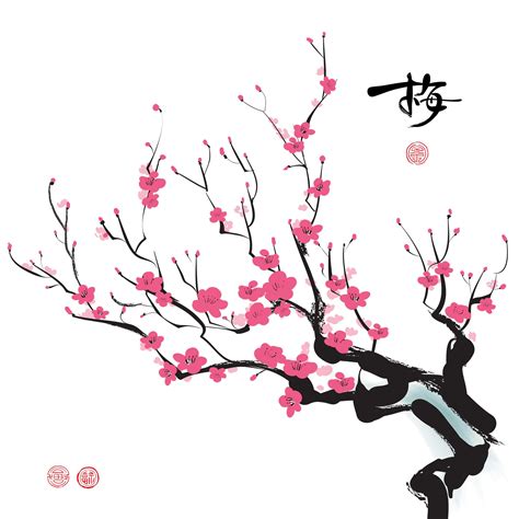 Japanese Sakura Drawing Free Download On Clipartmag
