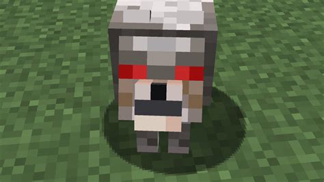 Minecraft Dog Names 134 Best And Cute And Top Dog Names Petshoper