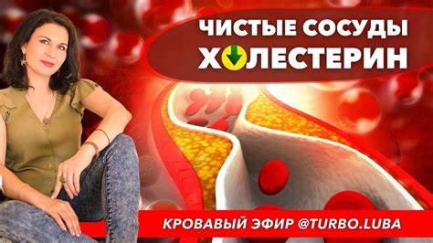 Здоровые сосуды и кровь - YouTube Картинка - Здоровые сосуды и кровь - YouTube