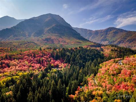 Best Places To See Fall Colors In Utah A Locals Guide