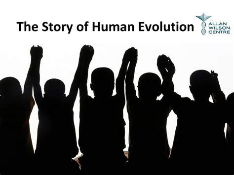 The story of human evolution