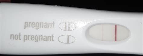 Positive Pregnancy Test 9 Dpo Spotting Then Negative Tests