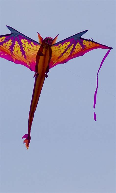 Monsters In The Sky Kite Designs Dragon Kite Making Kites
