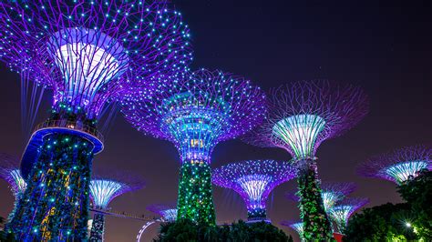 Photo Singapore Gardens By The Bay Nature Night Time Fairy 1920x1080