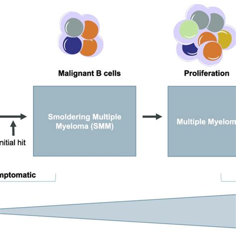 Stages Of Multiple Myeloma MM Progression The Malignant Download Scientific Diagram