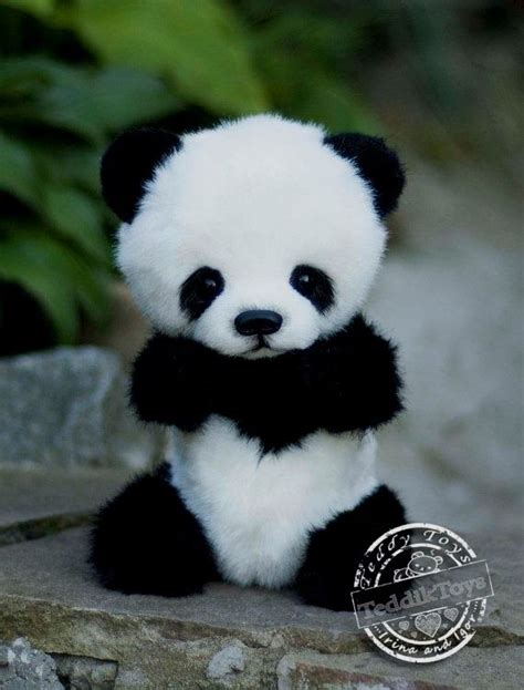 Pin By Pamela C Wilson On Panda Cute Panda Baby Cute Baby Animals