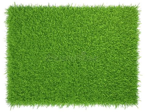 Natural Grass Texture Pattern Background Top View Grassy Lawn For
