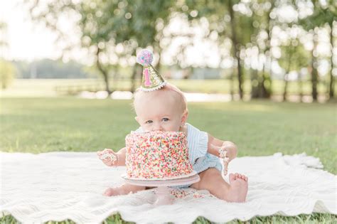 Cake Smash First Birthday Portraits By Photographer In Greenville Sc