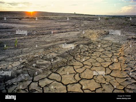 Extremely Dry Arid Land In Far West Texas Stock Photo Alamy